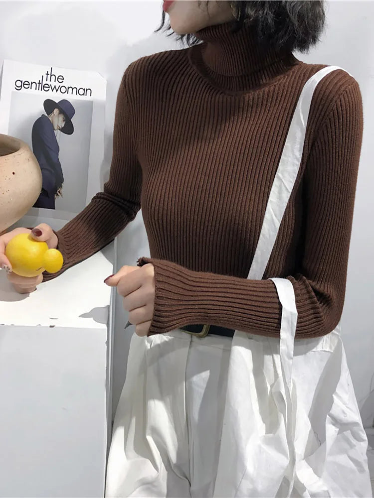 Damen Rollkragen Pullover